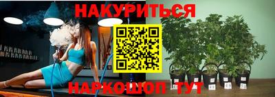 шишки Усть-Джегута