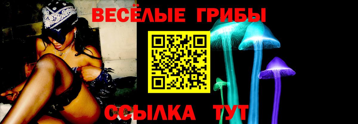 Лосино-Петровский  Галлюциногенные грибы Magic Shrooms  Вход с VPN  Галлюциногенные грибы прущие грибы 